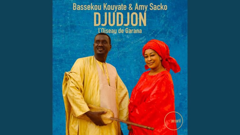 World Music Bassekou Kouyate · Amy Sacko