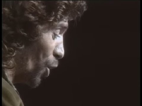 Camarón de la Isla