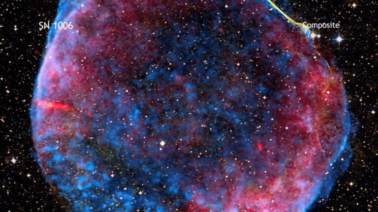 Cosmos SN 1006