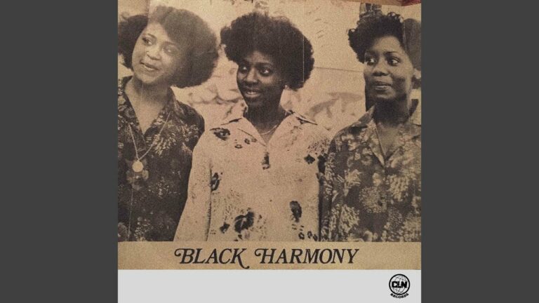 Daily Roots Black Harmony