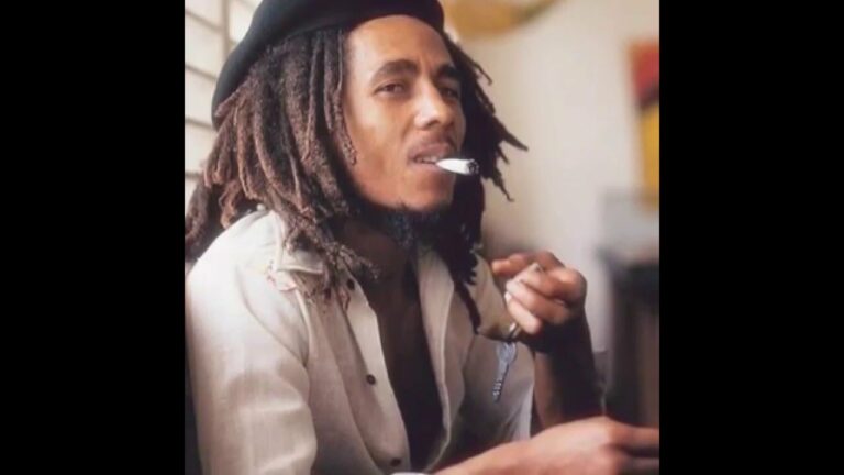 Daily Roots Bob Marley