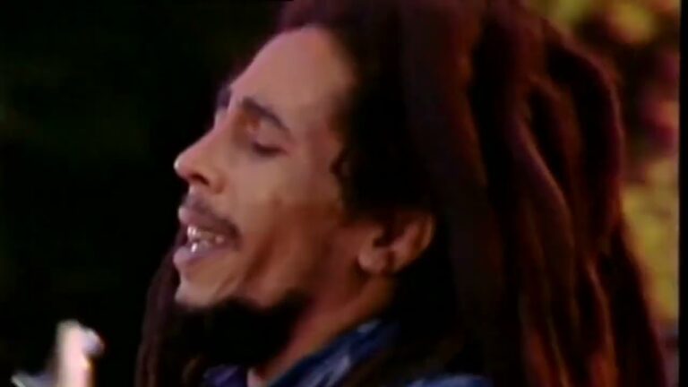 Daily Roots Bob Marley