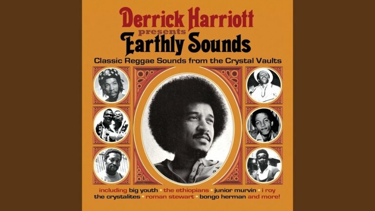 Daily Roots Bongo Herman