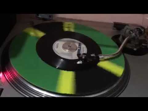 Daily Roots Jackie Brown