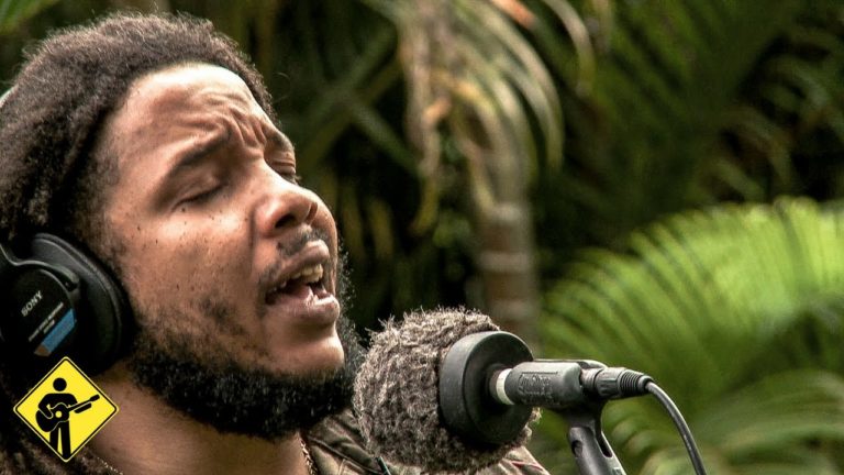 Daily Roots Playing for Change Stephen Marley