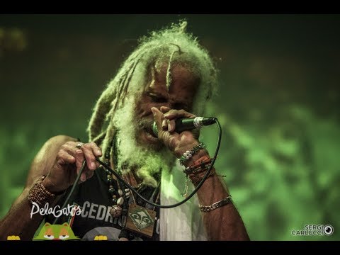 Daily Roots with Cedric Congo Myton