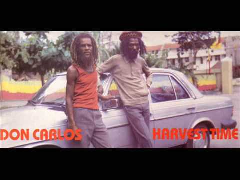 Daily Roots with Don Carlos