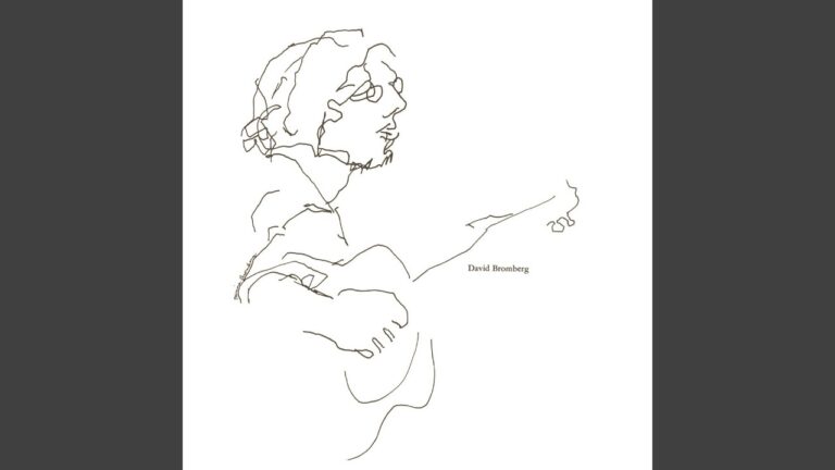 David Bromberg