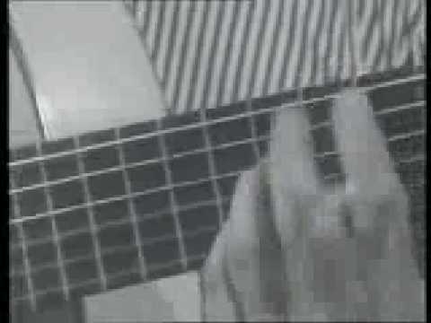 Flamenco Fridays Paco de Lucia