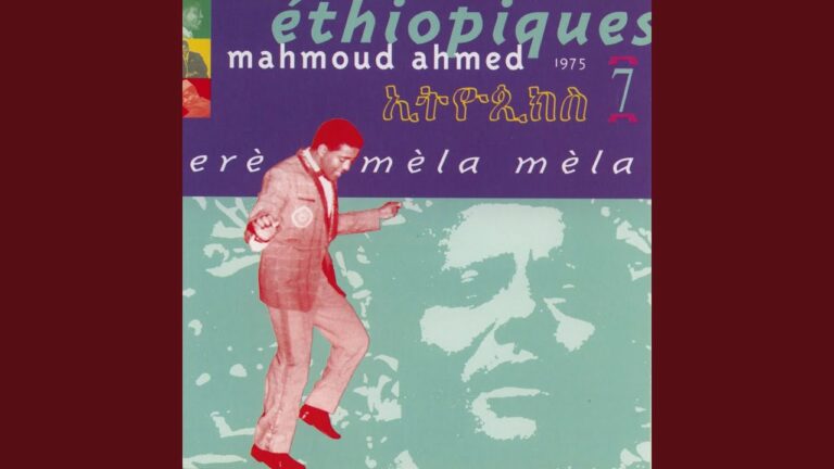 Mahmoud Ahmed