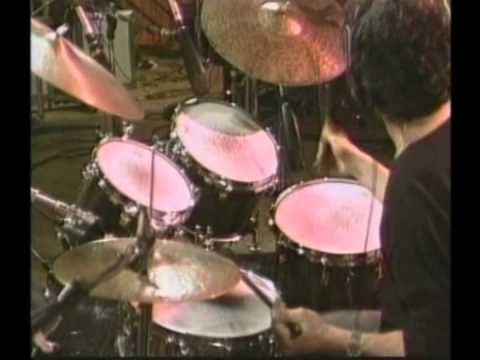 Steve Gadd