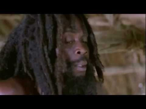 Daily Roots The Congos