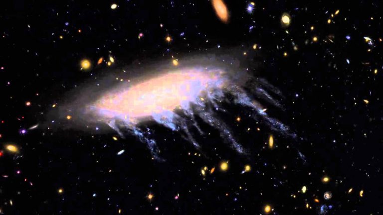 The Cosmos with D100