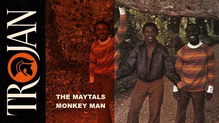 Daily Roots Monkey Man