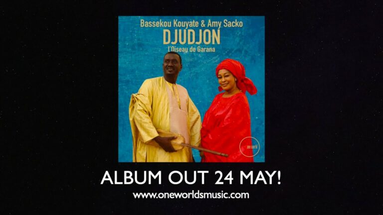 World Music Bassekou Kouyate & Amy Sacko